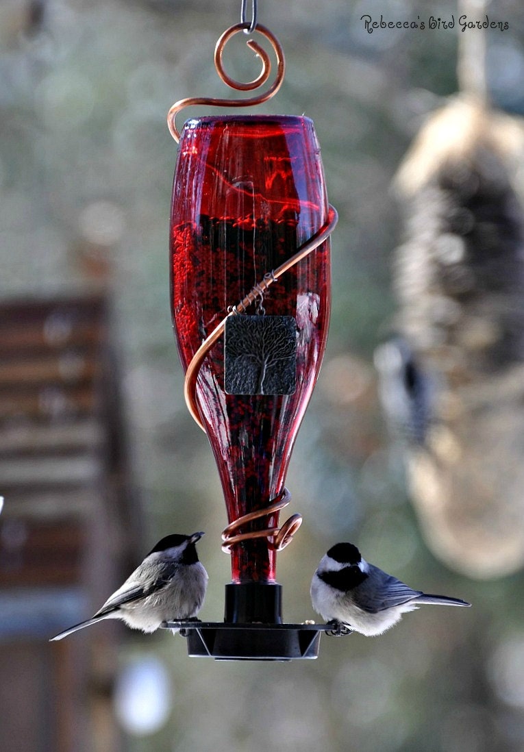 Glass Bottle Bird-Feeder