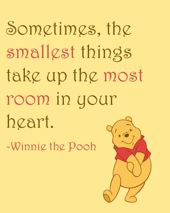 Inspirational Quote: Sometimes the smallest things take up