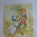 beatrix potter t shirt