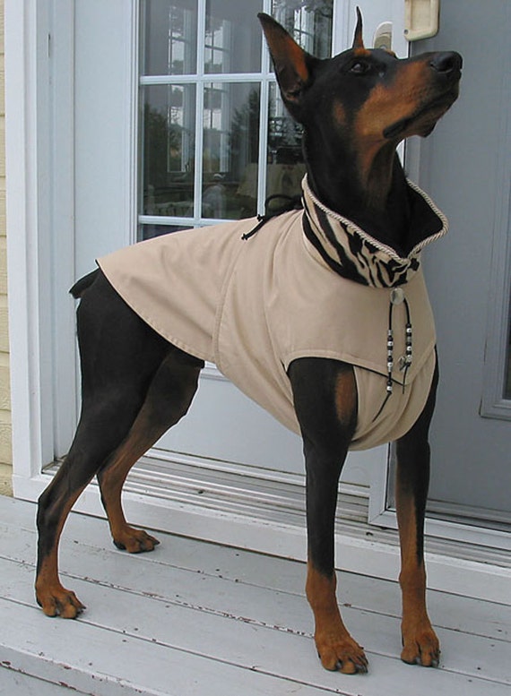 DOG Coat SAHARA sand & zebra Collar by GabriellaSTYLE on Etsy