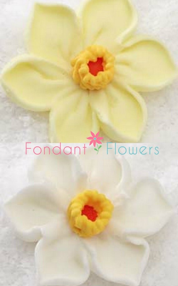 15 Royal Icing Edible Daffodil Cupcake Toppers. 11/2