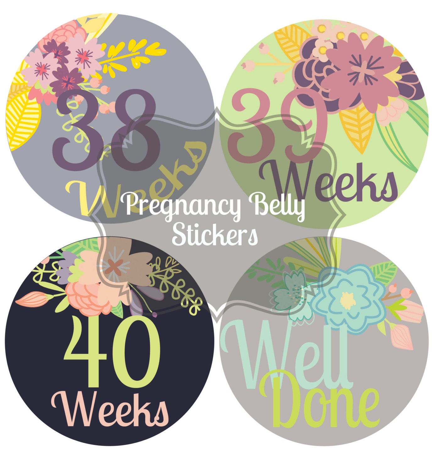 Weekly Pregnancy Belly Stickers Belly Stickers Pregnancy
