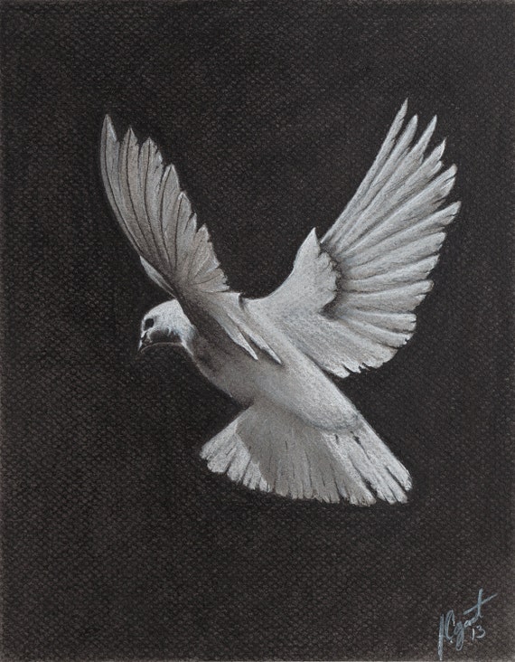 Black and White Charcoal Giclée Dove print