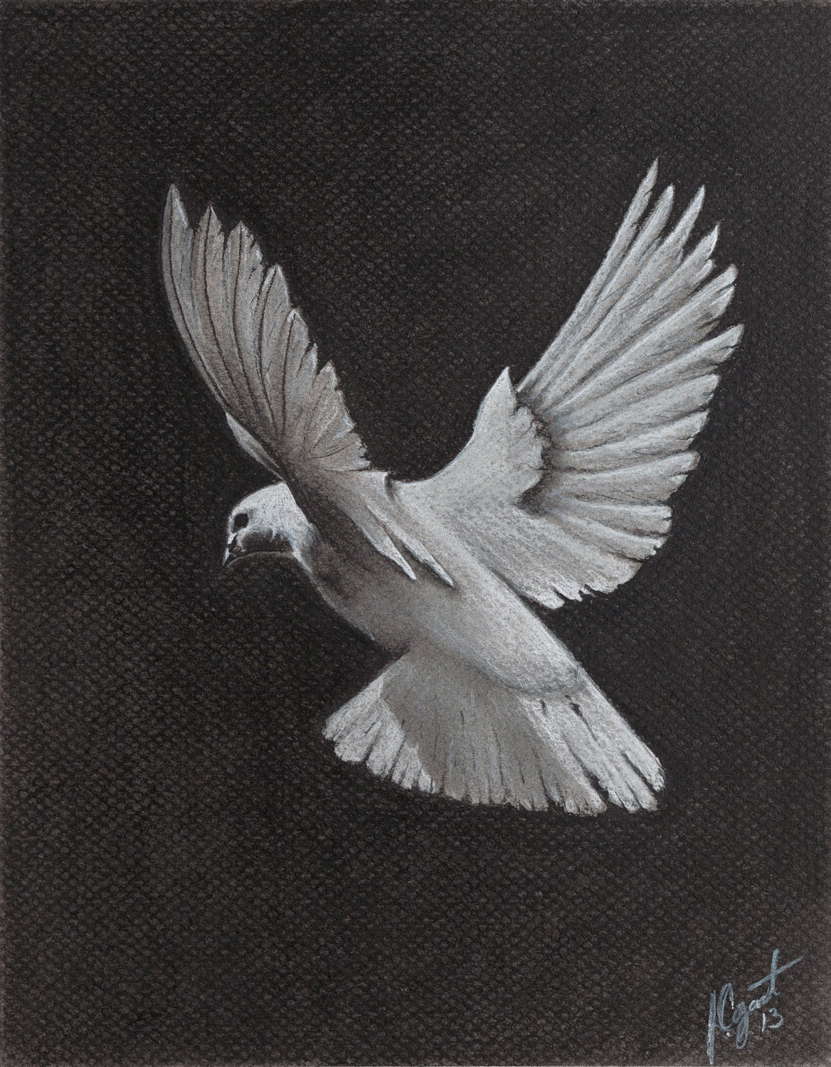 Black And White Charcoal Giclée Dove Print.