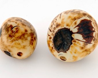 Natural whole Amazonian polished tagua nut bead with natural markings variable, size 30-40mm, hole 3-4mm (ba150)