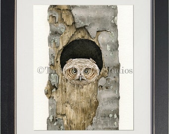 Peek A Boo Owl - archival watercolor print by Tracy Lizotte