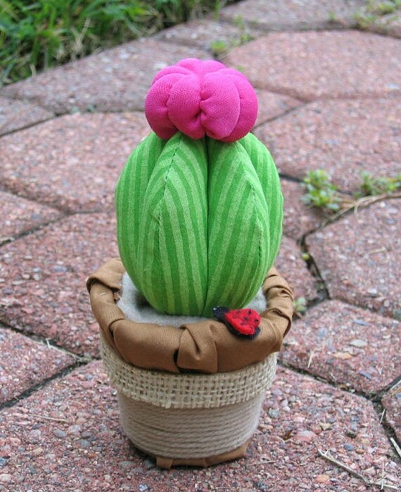 stuffed cactus plant