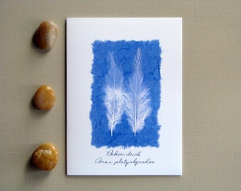 Feather greeting card, Pekin duck, blue and white, natural white feathers, no.16