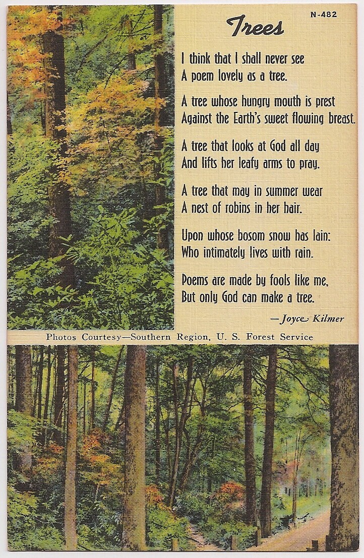 Trees Poem Joyce Kilmer Vintage Linen Postcard Photos from US