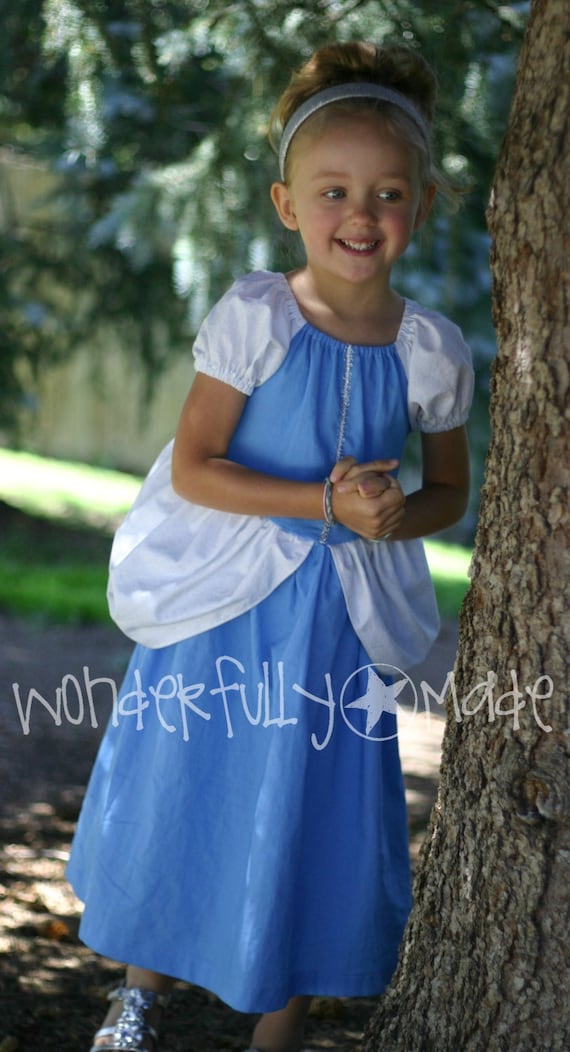 Cinderella Dress Up Dress/Costume