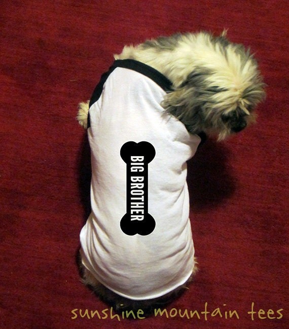 Dog Shirt Big Brother Dog Cute Dog Tshirt Dog Costume