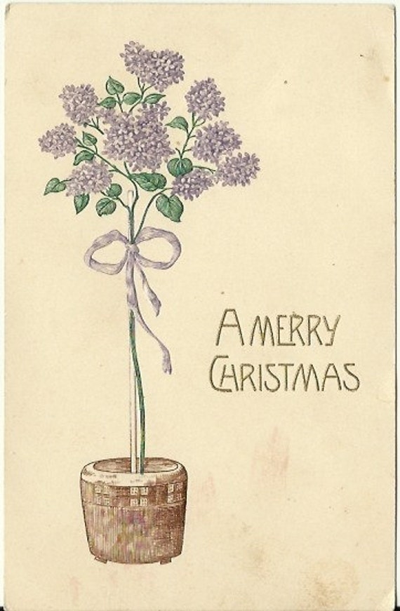 Antique Postcard "A Merry Christmas" Rare Christmas Lilac Bush 1909