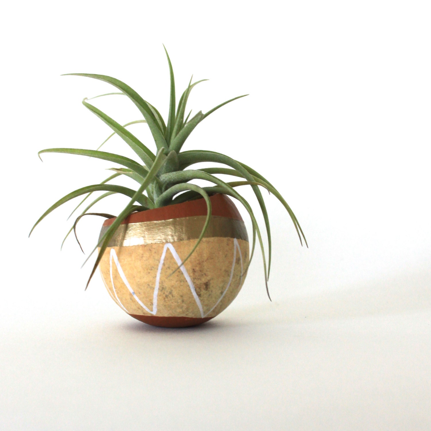Air Plant Planter with Air Plant Natural Tan Gold White.