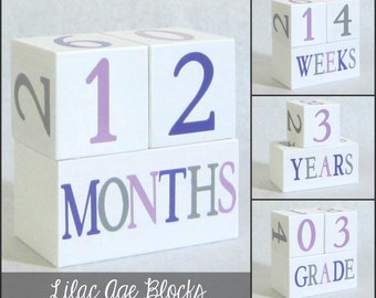Baby Age Blocks - Photo Prop - 0 - 43 Weeks, Months, Years and Grade