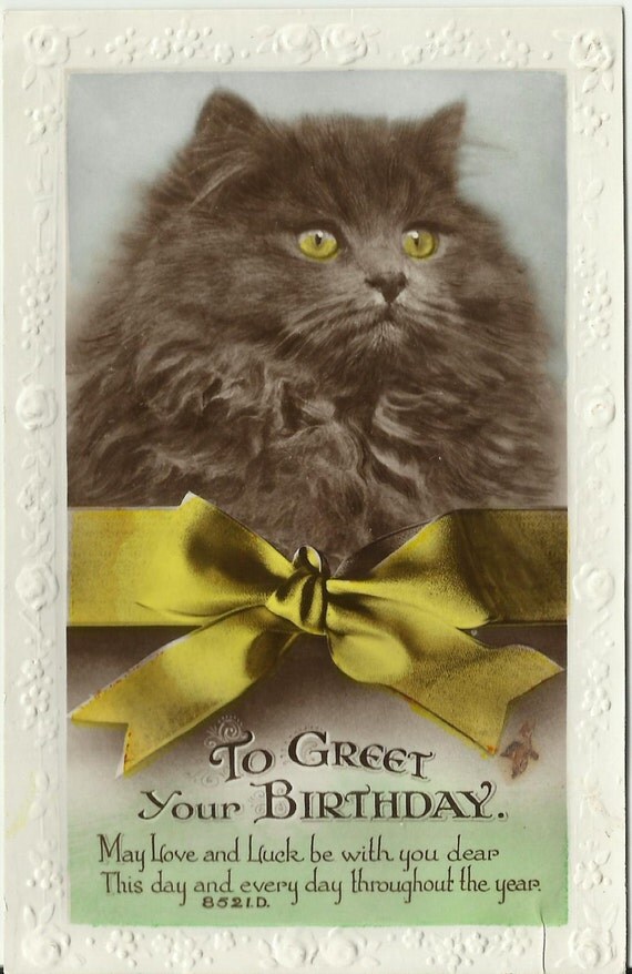Postcard Birthday Greetings Cat Vintage Photo By