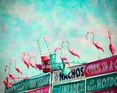 Flamingos Photography Art Print, Pink Flamingo Circus Art, Pink and Turquoise Design, Sign Photo Art, Flamingo Sign Art, Flamingo Wall Decor Flamingos Photography Art Print, Pink Flamingo Circus Art, Pink and Turquoise Design, Sign Photo Art, Flamingo Sign Art, Flamingo Wall Decor