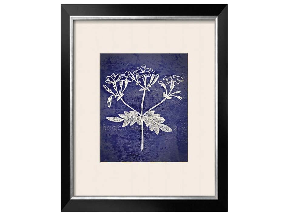 Navy Blue White Wall Art Navy White Botanical by BeachHouseGallery