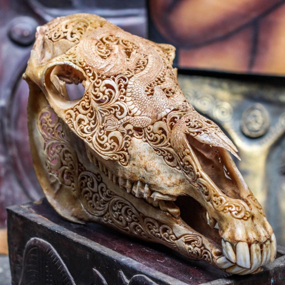 SALE - Hand Carved Dragon Horse Skull Real Mule/ Animal Skull Bone with Teeth/ Vintage Taxidermy