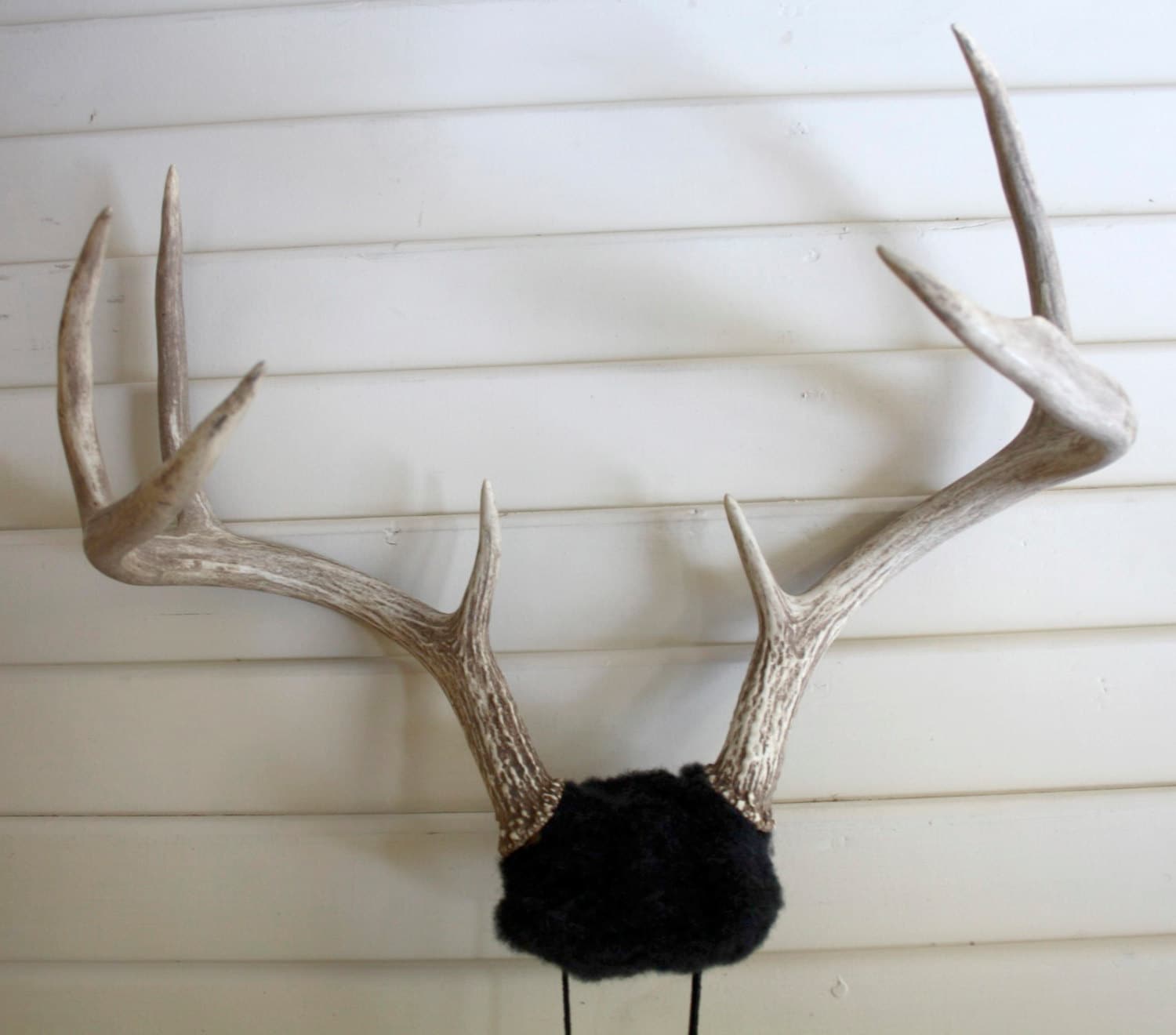 Deer Antler Headband Black 2 With Natural Antlers