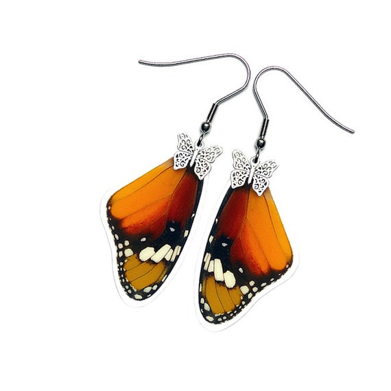 Real Butterfly Wing Earrings Danaus Chrysippus Forewing by mybugs