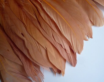 GOOSE FEATHER FRINGE , Amber, Butterscotch / 463