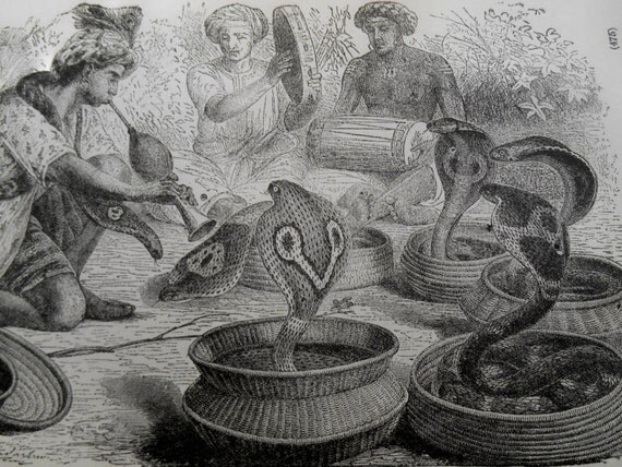 Vintage Snake Charmer engraving 1887 antique Cobra Print