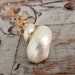 Gold Plated Sea Shell Necklace, 14k gold filled Chain, Beachy Ocean Necklace, Vintage Sea Shell Charm