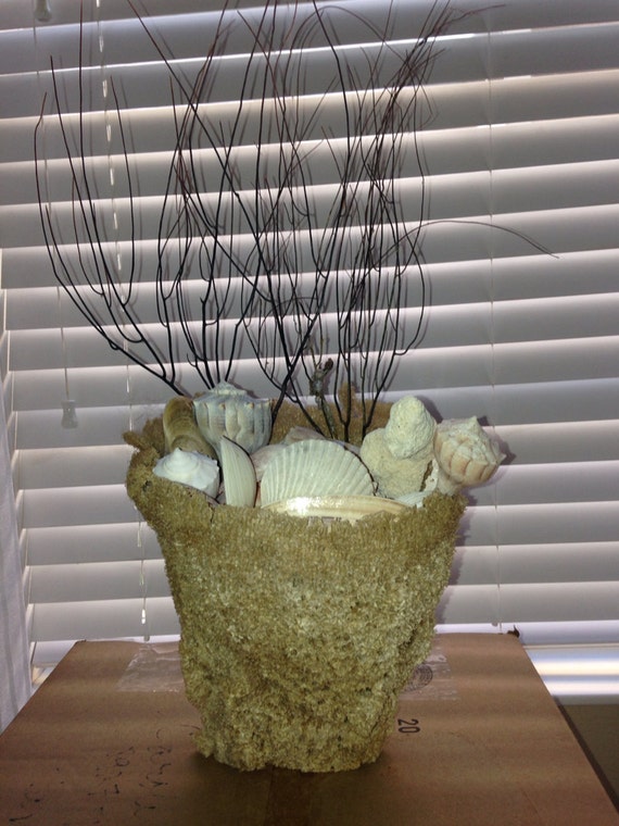 Natural Sponge Vase with Seashells purple Sea Whip Beach Decor