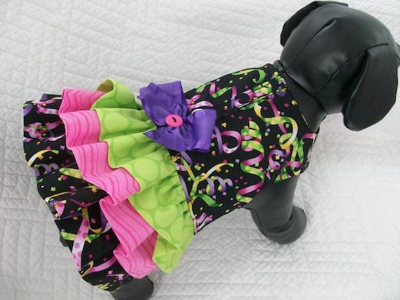 mardi gras dog harness