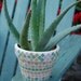Sweet Southwest Style Mosaic Planter