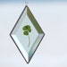 Genuine Four Leaf Clover in Diamond Shaped Beveled Glass