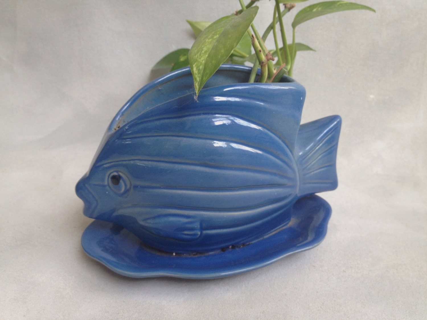 Mid Century Blue Fish Planter by LoblollyCove on Etsy