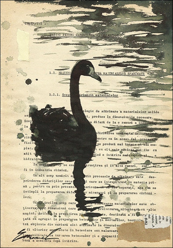 Print Art canvas lake watercolor gift Poster Ink Drawing sketch Illustration Black Swan book pages painting Gift Vintage Emanuel M. Ologeanu