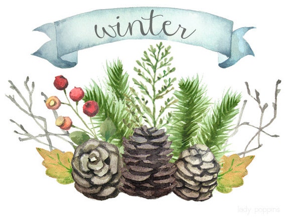 Watercolor Winter Clip Art - Pine Branches, Cones, Berries, Leaves - Digital Download - 10 PNG