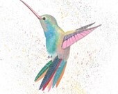 Hummingbird - Giclee Print Fine Art Archival A4 Bird Home Decor Gift Illustration Gouache Painting by Coramantic