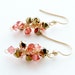 Coral Pink Earrings Gold