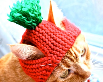 Tomato Dog Costume - Hand Knit Dog Hat - Custom Sizing - Dog Halloween Costume
