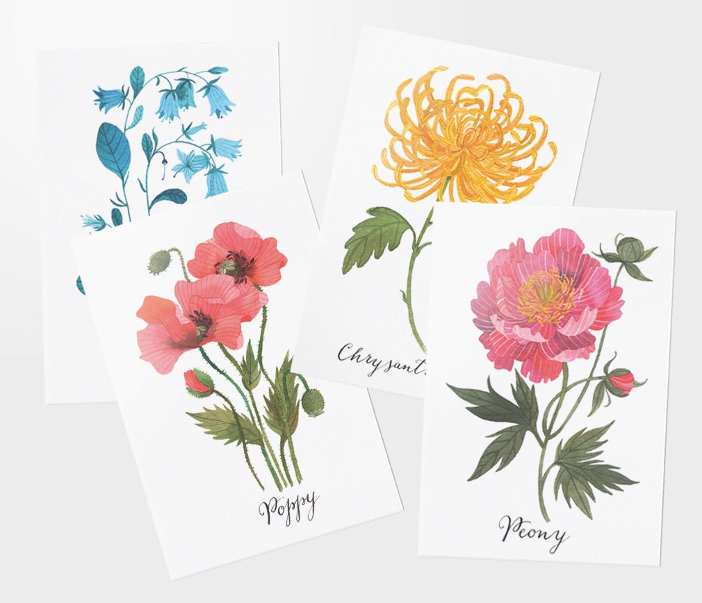 Floral postcard set of 4