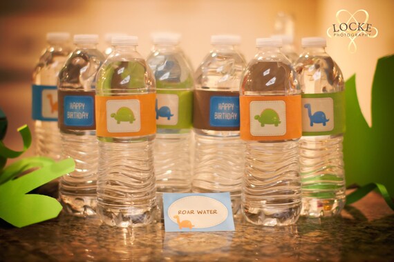 Dinosaur Party - Bottle Labels - Dino Party - INSTANT DOWNLOAD - Printable PDF with Editable Text