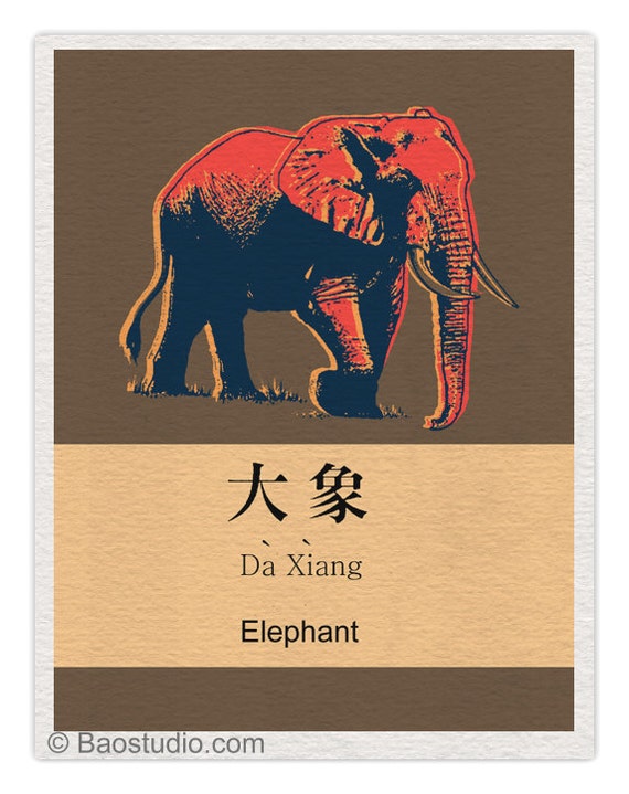 Elephant Chinese Character Language Flashcard Pop by PineShore