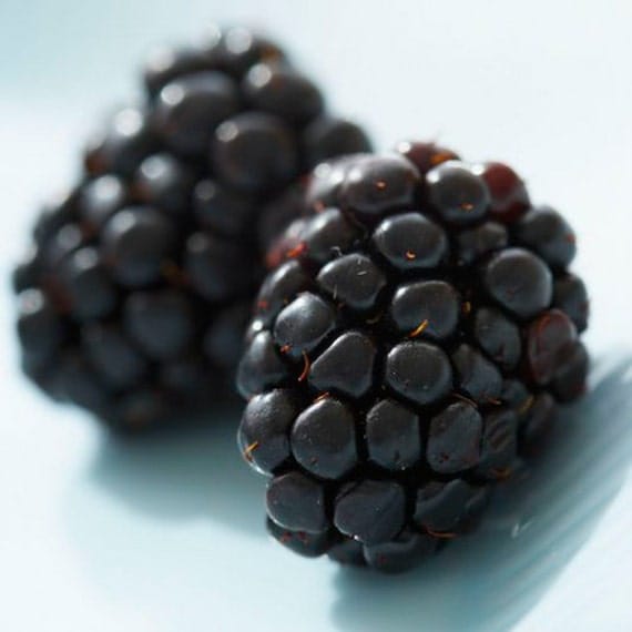 Organic Heirloom 50 Blackberry Seeds Sweet Black Berry Giant