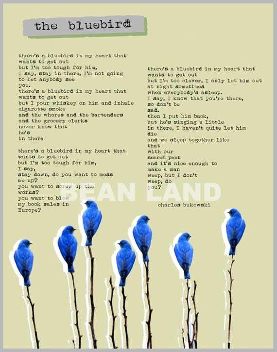 about existing quotes happiness not poster  collage  The   poem Charles Bluebird of BUKOWSKI POSTER