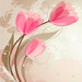 TulipRoseQuiltShoppe
