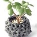 crochet basket planter made with up-cycled bicycle rubber inner tubes