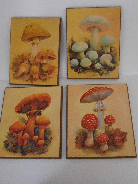 Vintage 1970's Set of 4 W M Otto Mushroom Lithograph on