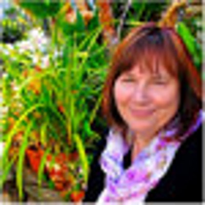 yardfairy. <b>Diane Downey</b>; Carlsbad, - iusa_400x400.24050244_n7vl