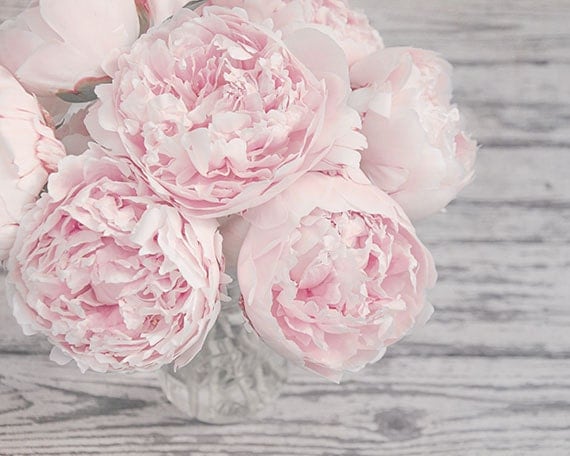 pink peonies | the design fox pink peonies | the design fox