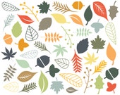 60% OFF SALE Digital Clipart Clip Art Leaf Clip Art Autumn Fall Digital Download Branches Berries Leaf Clipart Il_170x135