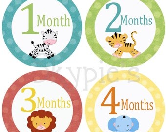 Monthly Stickers for Baby Boys Monthly Milestone Stickers Baby Boy ...