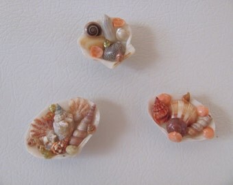 Popular items for seashell magnets on Etsy